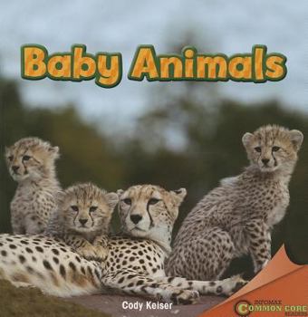 Paperback Baby Animals Book