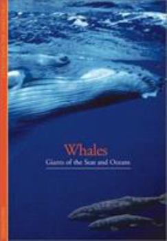 Paperback Discoveries: Whales: Giants of the Seas and Oceans Book