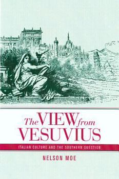 The View from Vesuvius: Italian Culture and the Southern Question (Studies on the History of Society & Culture) - Book  of the Studies on the History of Society and Culture