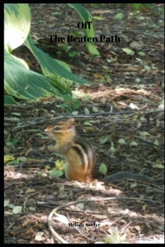 Paperback Off the Beaten Path: Daily Planner 2020 Book