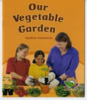Our Vegetable Garden