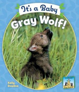 It's a Baby Gray Wolf - Book  of the Baby Mammals