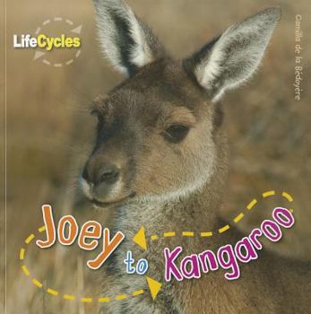 Lifecycles Joey to Kangaroo ScholBC Spanish - Book  of the Lifecycles