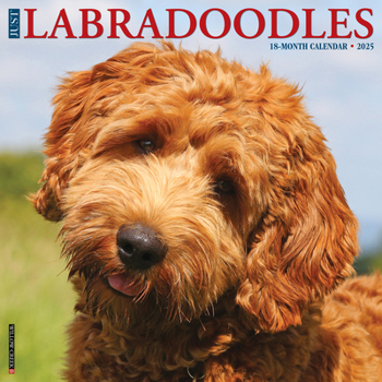 Calendar Just Labradoodles 2025 12 X 12 Wall Calendar Book