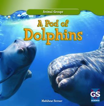 A Pod of Dolphins - Book  of the Animal Groups