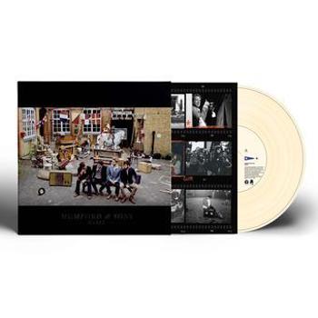 Vinyl Babel  10 Th Anniversary Cream Book