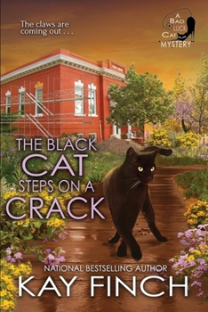 Paperback The Black Cat Steps on a Crack Book