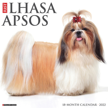 Calendar Just Lhasa Apsos 2022 Wall Calendar (Dog Breed) Book