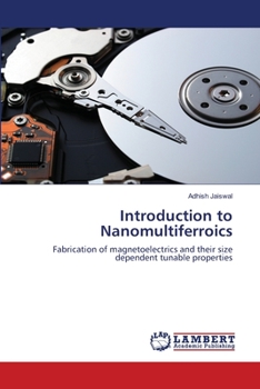 Paperback Introduction to Nanomultiferroics Book