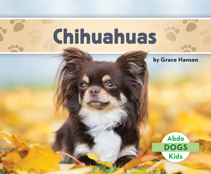 Library Binding Chihuahuas Book