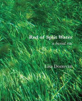 Paperback Red of Split Water Book