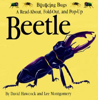 Hardcover Beetle Book