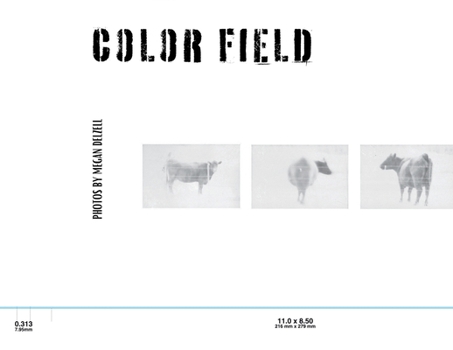 Paperback An Exploration In Color Field Book