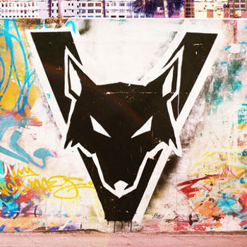 Music - CD Different Animals Book