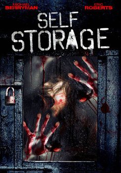 DVD Self Storage Book