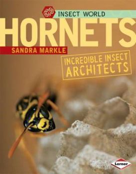 Library Binding Hornets: Incredible Insect Architects Book