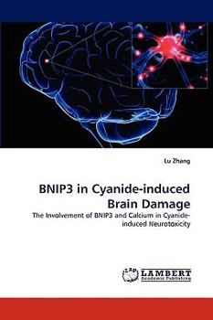 Paperback BNIP3 in Cyanide-induced Brain Damage Book