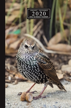 January - December 2020 Daily & Weekly Planner: Mini Calendar; Cute Speckled Starlings