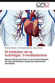 Paperback El Inhibidor de La Autofagia: 3-Metiladenina [Spanish] Book