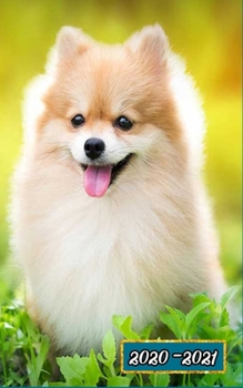 Paperback 2020-2021 Puppies 2-Year Small Pocket Planner Calendar Book