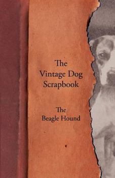 Paperback The Vintage Dog Scrapbook - The Beagle Hound Book