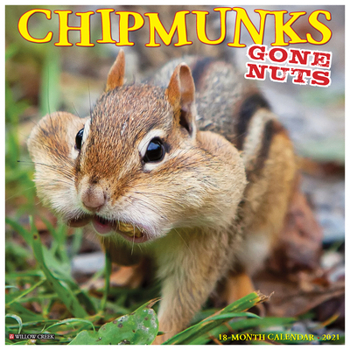 Calendar Chipmunks (Gone Nuts!) 2021 Wall Calendar Book
