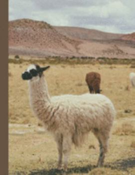 Planner: 2020 - 2021 Llama Daily Planner | Glama Alpaca Camelidae Animal Cover | January 20 - December 20 | Writing Notebook | Datebook Calendar Schedule | Plan Days, Set Goals & Get Stuff Done