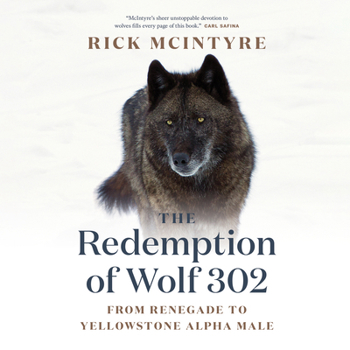 Paperback The Redemption of Wolf 302: From Renegade to Yellowstone Alpha Male Book