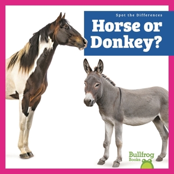 Horse or Donkey?