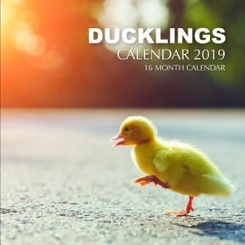 Ducklings Calendar 2019: 16 Month Calendar