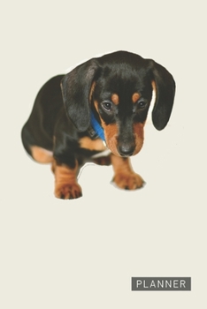 Planner: Cute Little Dachshund 1 Year Daily Planner (12 Months) | 2020 - 2021 | 365 Pages for Planning | January 20 - December 20 | Appointment ... | Plan Each Day Set Goals & Get Stuff Done
