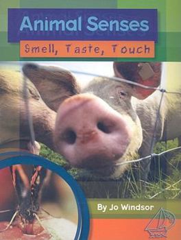 Paperback Animal Senses: Smell, Taste, and Touch: Leveled Reader Book