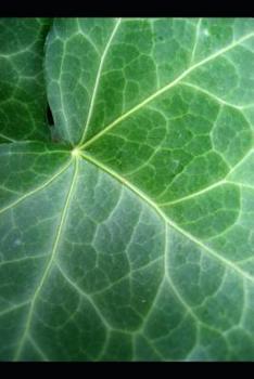 Paperback Love and Romantic Poetry from My Collection Book