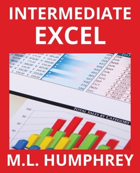 Paperback Intermediate Excel Book