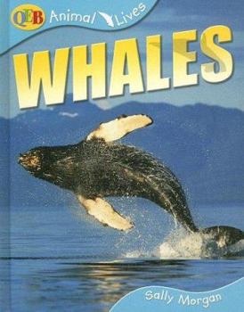 Whales (Animal Lives)