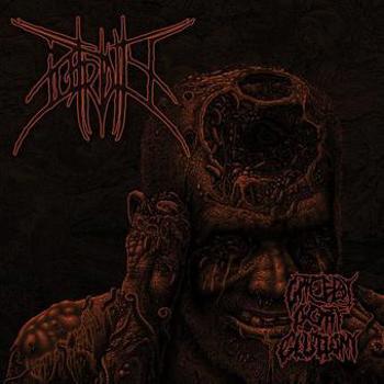 Music - CD Greedy Gory Gluttony Book