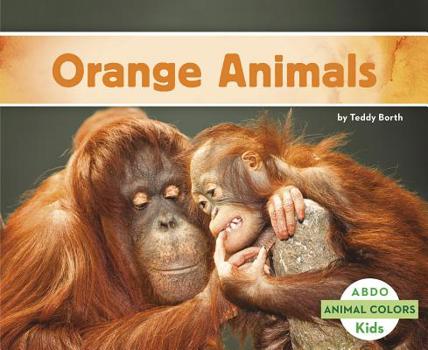 Animales Anaranjados / Orange Animals - Book  of the Animal Colors