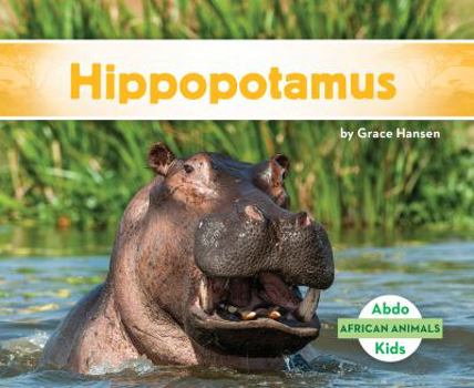 Hipopótamo / Hippopotamus - Book  of the Animales Africanos/ African Animals