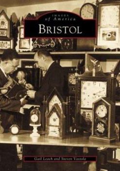 Paperback Bristol Book