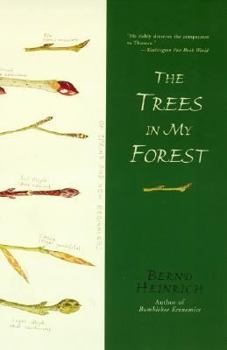 Paperback The Trees in My Forest Book