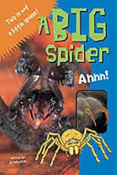 Paperback A Big Spider: Leveled Reader Blue Book
