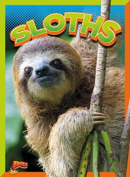 Library Binding Sloths Book