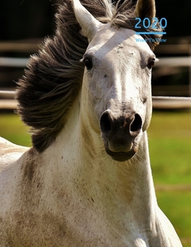 2020 A4 Diary Week To View Planner For All Occasions: | Year Planner For Business, Office, Home, University, College, School, Appointments, Organizer.