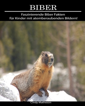 Biber: Faszinierende Biber Fakten für Kinder mit atemberaubenden Bildern! (German Edition)