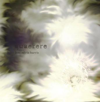 Paperback Quaerere Book