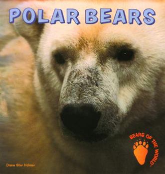 Library Binding Polar Bears [Large Print] Book