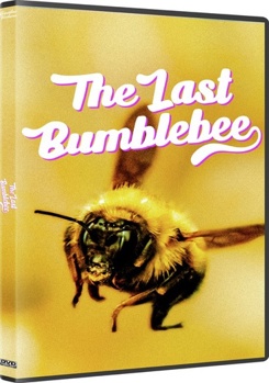 The Last Bumblebee