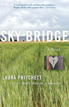 Paperback Sky Bridge Book