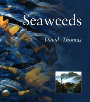 Paperback Seaweeds: Seaweeds Book