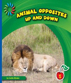 Up and Down - Book  of the Animal Opposites